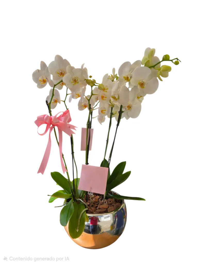 20250425 100947 (1)(1)