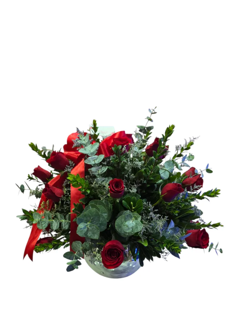 Photoroom 20251220 143524752